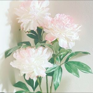 Meet your Posher, Don anjalie